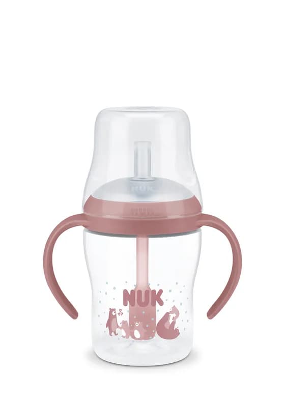 Nuk Pm Bib Toarte Cu Pai Roz