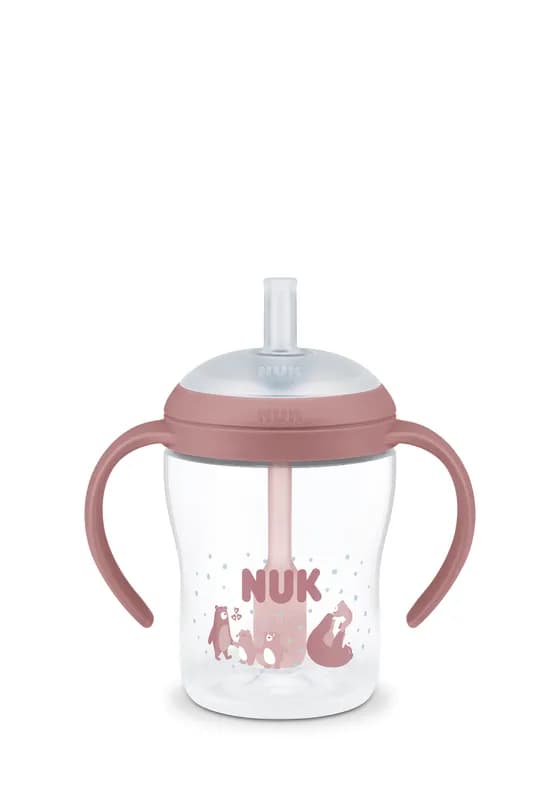 Nuk Pm Bib Toarte Cu Pai Roz