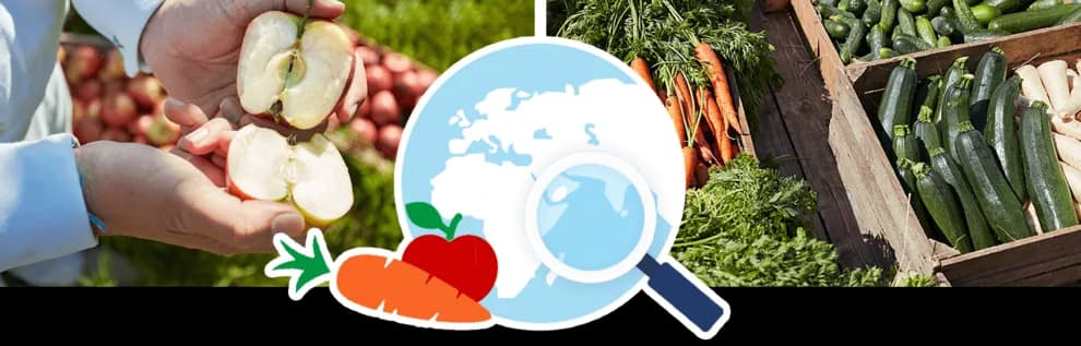 5 Sfaturi pentru Hranirea Selectiva la Copii Mici